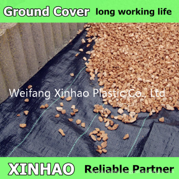 PP Woven Geotextile Fabric/Ground Cover Fabric